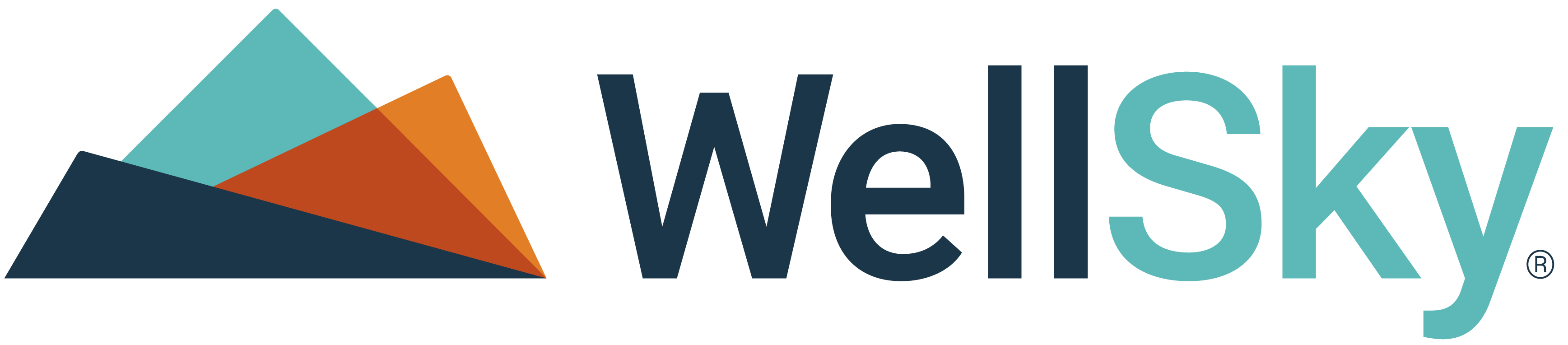 WellSky-logo